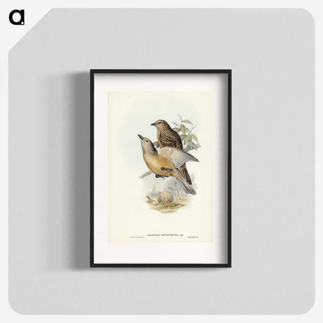 2-70_John-Gould_blk