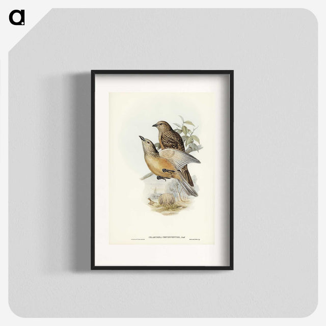 2-70_John-Gould_blk