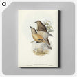 2-70_John-Gould_canvas
