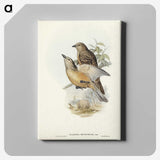 2-70_John-Gould_canvas