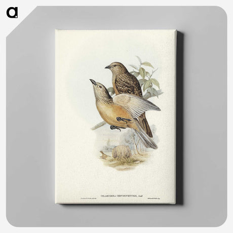 2-70_John-Gould_canvas