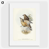 2-70_John-Gould_picture