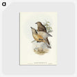 2-70_John-Gould_postcard