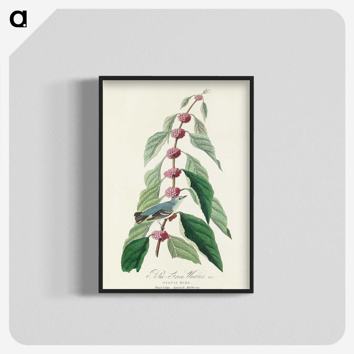 2-70_John-James-Audubon_blk-crop