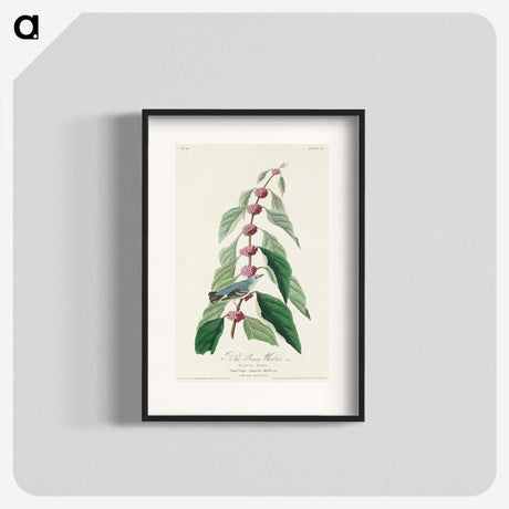 2-70_John-James-Audubon_blk