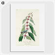 2-70_John-James-Audubon_picture