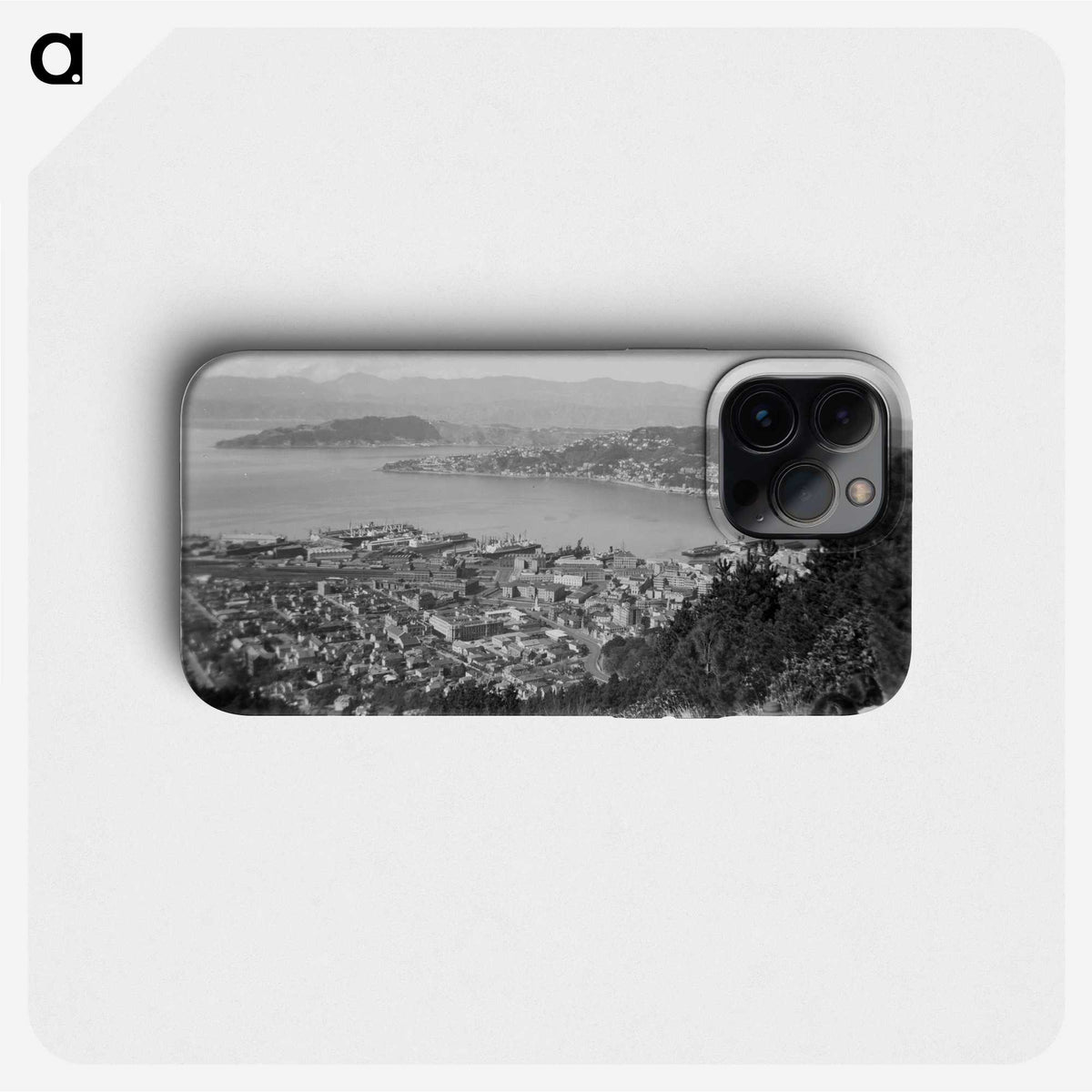 2-70_Leslie-Adkin_phone