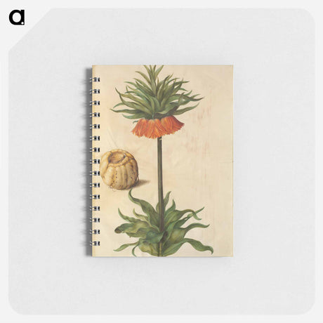 アートメモ帳-Fritillaria Imperialis
 - マリア ジビーラ メーリアン Memo.