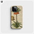 2-70_Maria-Sibylla-Merian_phone