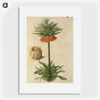 2-70_Maria-Sibylla-Merian_picture