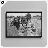 2-70_Marion-Post-Wolcott_canvas