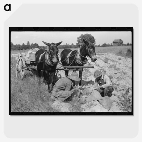 2-70_Marion-Post-Wolcott_picture-crop