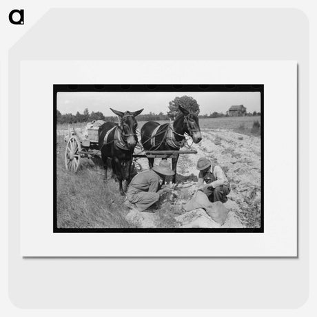 2-70_Marion-Post-Wolcott_picture