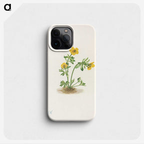 2-70_Mary-Vaux-Walcott_phone