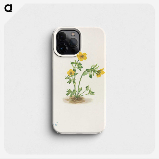 2-70_Mary-Vaux-Walcott_phone
