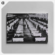 アートパネル-Quarantine Ward
 - 国立医学図書館 Canvas.