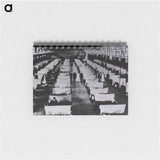 アートメモ帳-Quarantine Ward
 - 国立医学図書館 Memo.