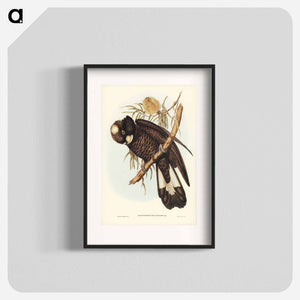 オーストラリア