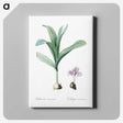 2-70_The-Lilies_canvas