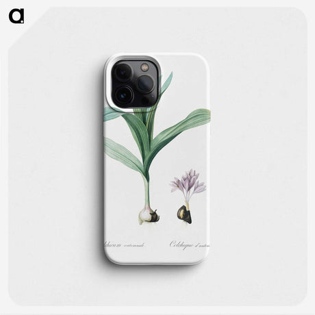 2-70_The-Lilies_phone