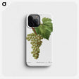 2-70_Treatise-on-Trees-and-Shrubs_phone