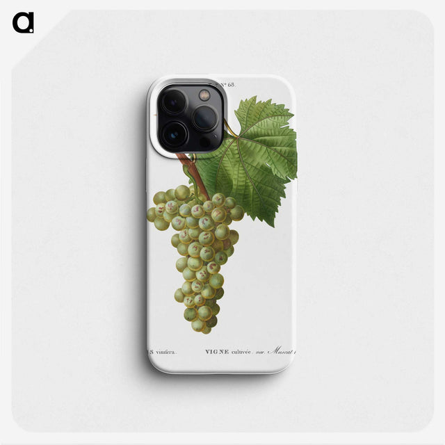 2-70_Treatise-on-Trees-and-Shrubs_phone