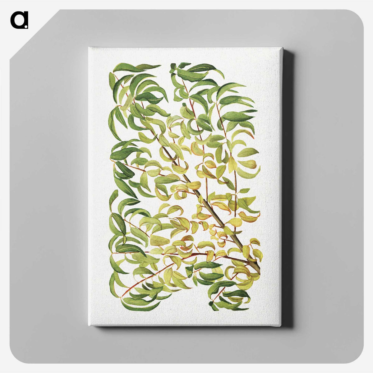2-70_USDA-Watercolor-Fruit-Painting-Collection_canvas