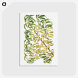 2-70_USDA-Watercolor-Fruit-Painting-Collection_postcard