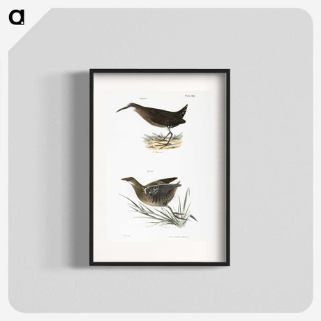 2-70_Zoology-of-New-York_blk