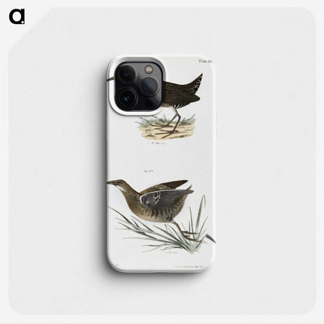 2-70_Zoology-of-New-York_phone