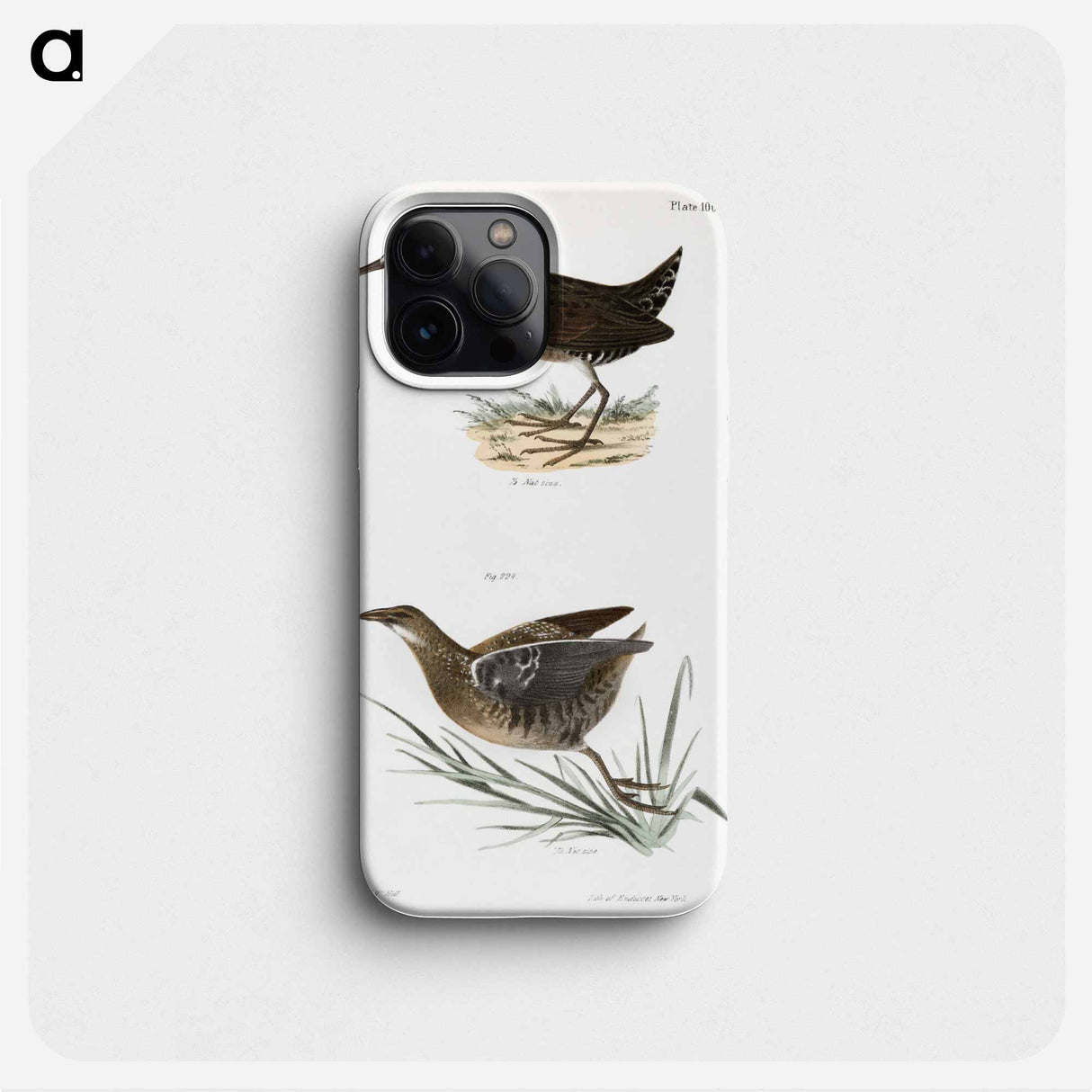 Mud-hen (Rallus virginianus) Sora Rail (Ortygometra Carolina) - ニューヨークの動物学 Phone Case.