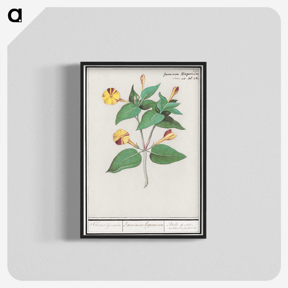 2-71_Anselmus-Boetius-de-Boodt_blk-crop