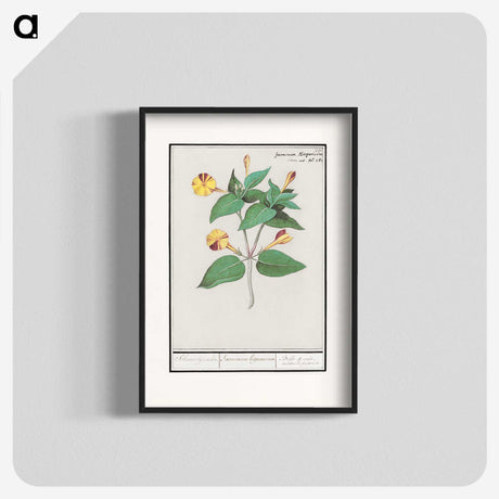 2-71_Anselmus-Boetius-de-Boodt_blk
