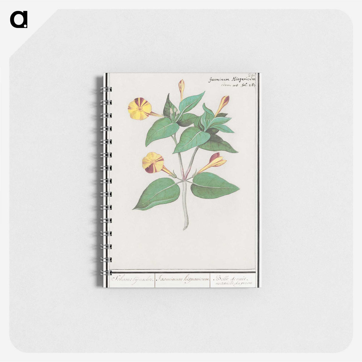 2-71_Anselmus-Boetius-de-Boodt_memo