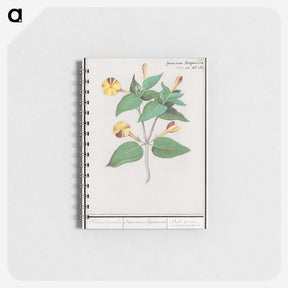 2-71_Anselmus-Boetius-de-Boodt_memo