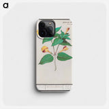 Mirabilis jalapa - アンセルムス ボエティウス デ ブート Phone Case.