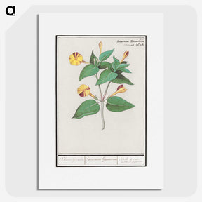 2-71_Anselmus-Boetius-de-Boodt_picture