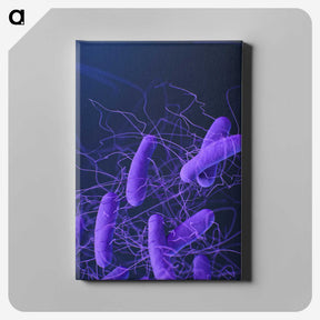 2-71_COVID-19_canvas