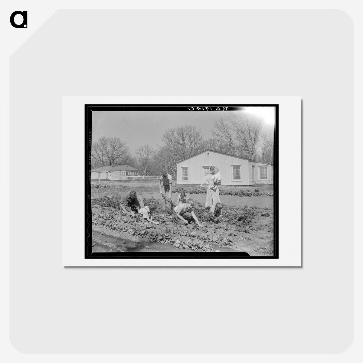 2-71_Dorothea-Lange_hagaki