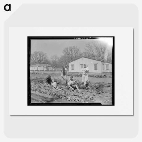2-71_Dorothea-Lange_picture