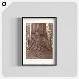 2-71_Eadweard-Muybridge_blk