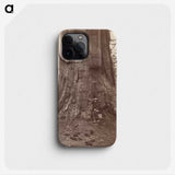 2-71_Eadweard-Muybridge_phone