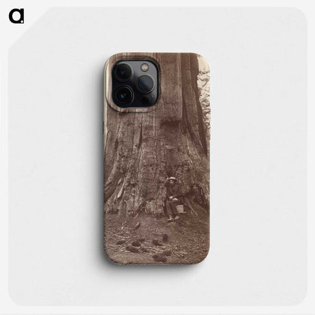 2-71_Eadweard-Muybridge_phone