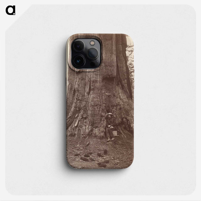 2-71_Eadweard-Muybridge_phone