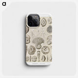 Talamophora–Kammerlinge from Kunstformen der Natur - エルンスト ヘッケル Phone Case.