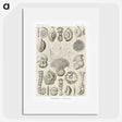 2-71_Ernst-Haeckel_picture