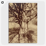 2-71_Eugene-Atget_picture-crop