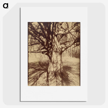 2-71_Eugene-Atget_picture