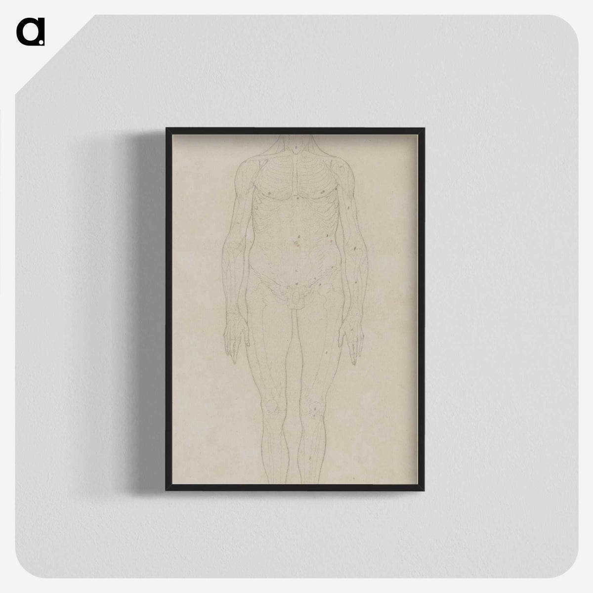 2-71_George-Stubbs_blk-crop