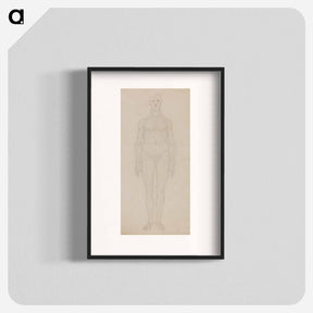 アートポスター-Study of the Human Figure, Anterior View
 - ジョージ スタッブス Poster.